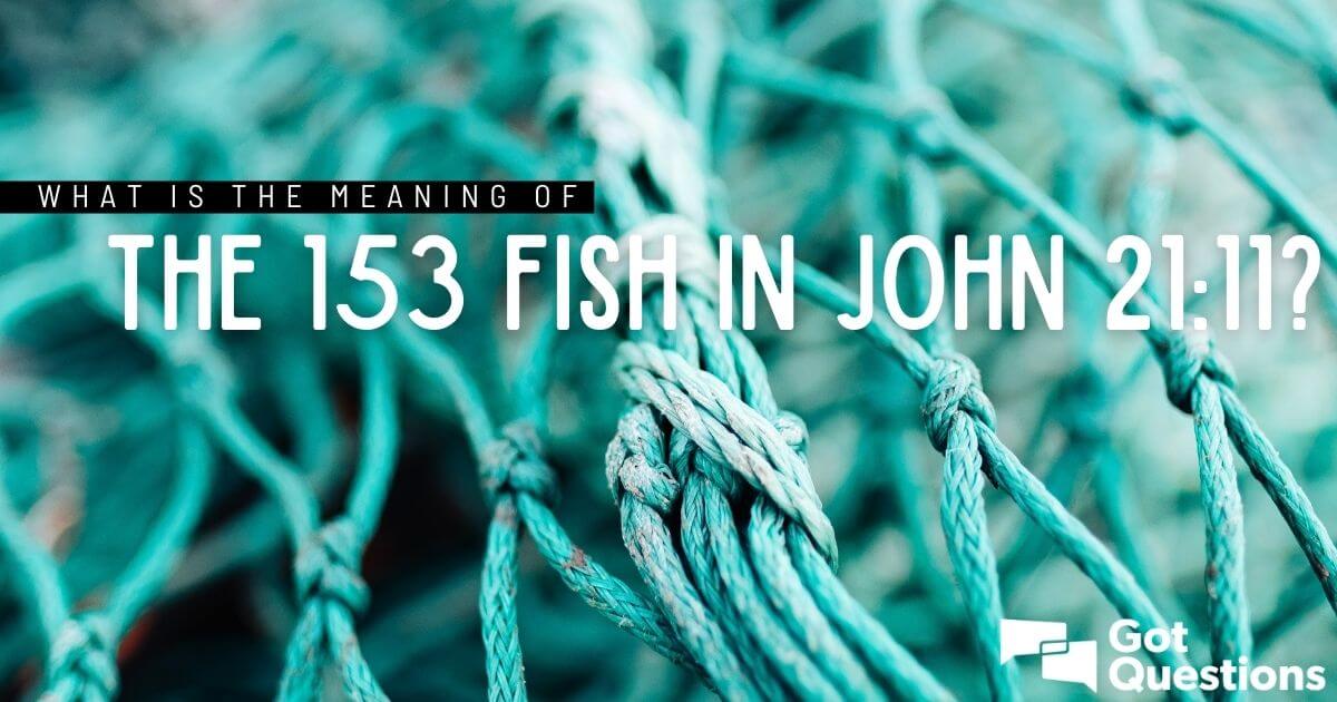 What Is The Meaning Of The 153 Fish In John 21 11 GotQuestions