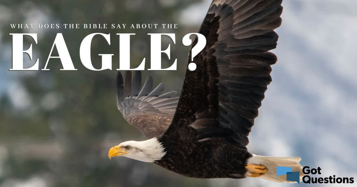  What Does The Eagle Represent In The Bible 