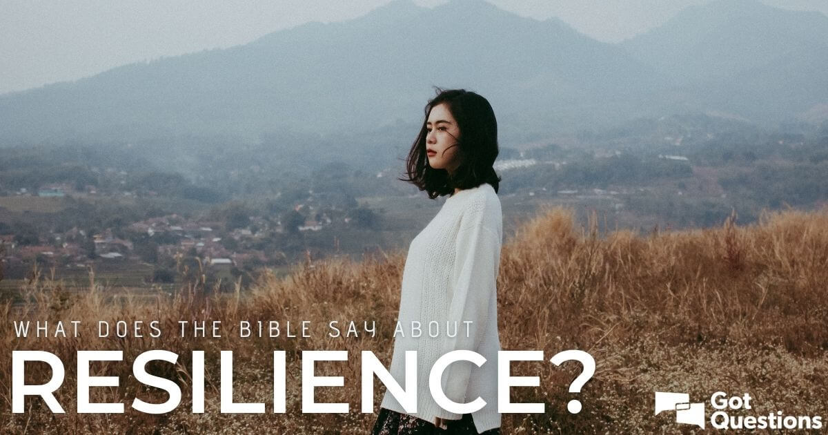 what-does-the-bible-say-about-resilience-gotquestions