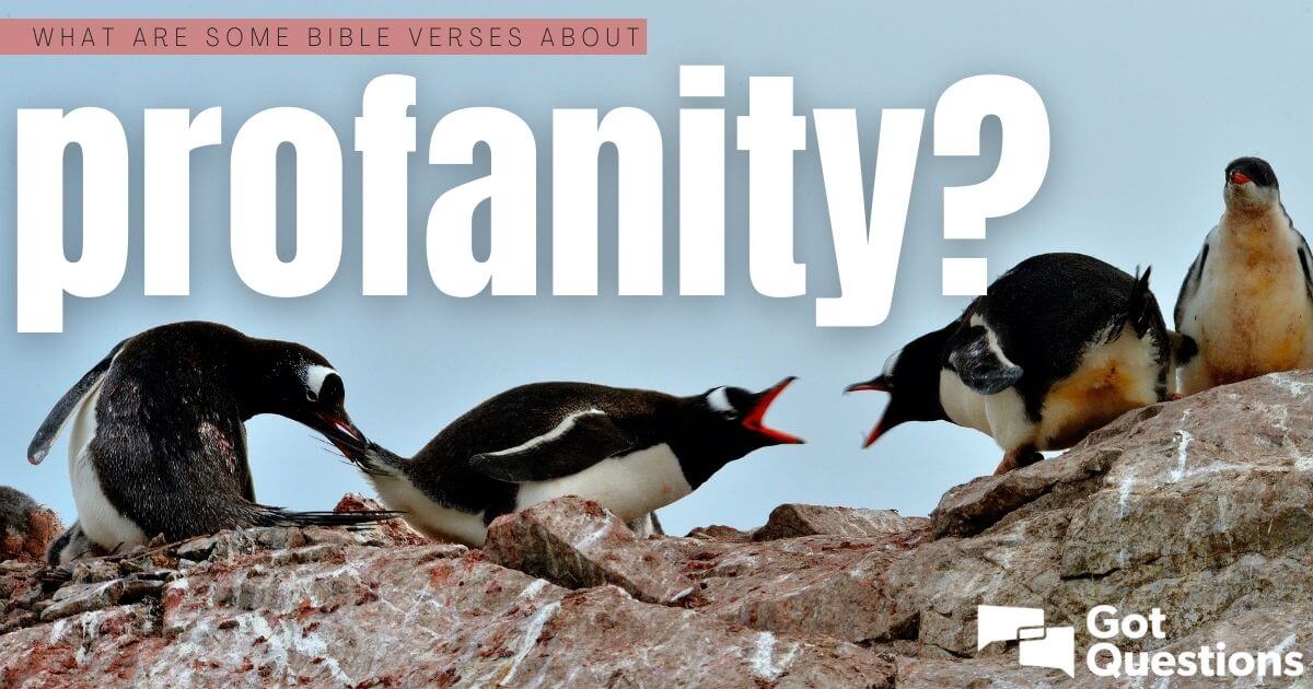 What Is Considered Profanity In The Bible