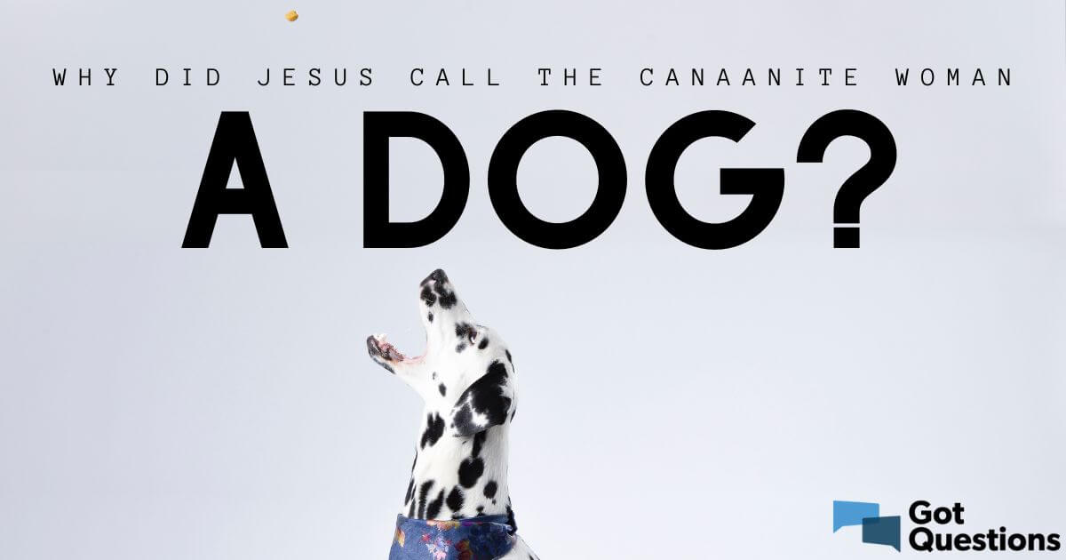 Why did Jesus call the Canaanite woman a dog? | GotQuestions.org