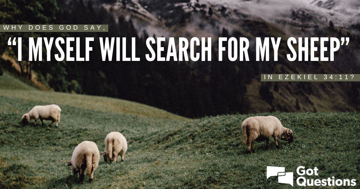 Why does God say, “I myself will search for my sheep” in Ezekiel 34:11 ...