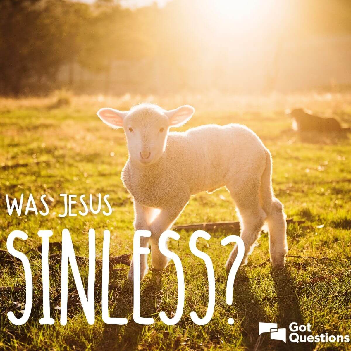 was-jesus-sinless-gotquestions