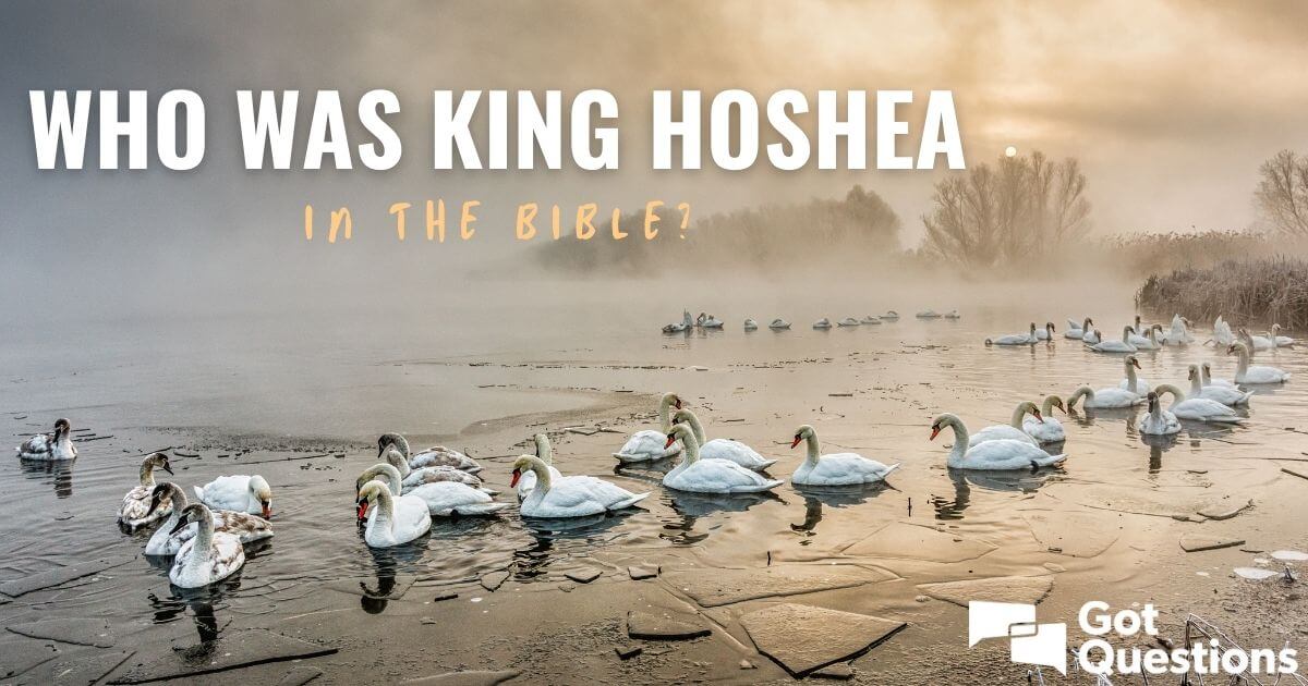 who-was-king-hoshea-in-the-bible-gotquestions