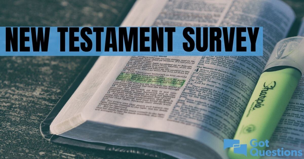 new testament survey pdf in hindi