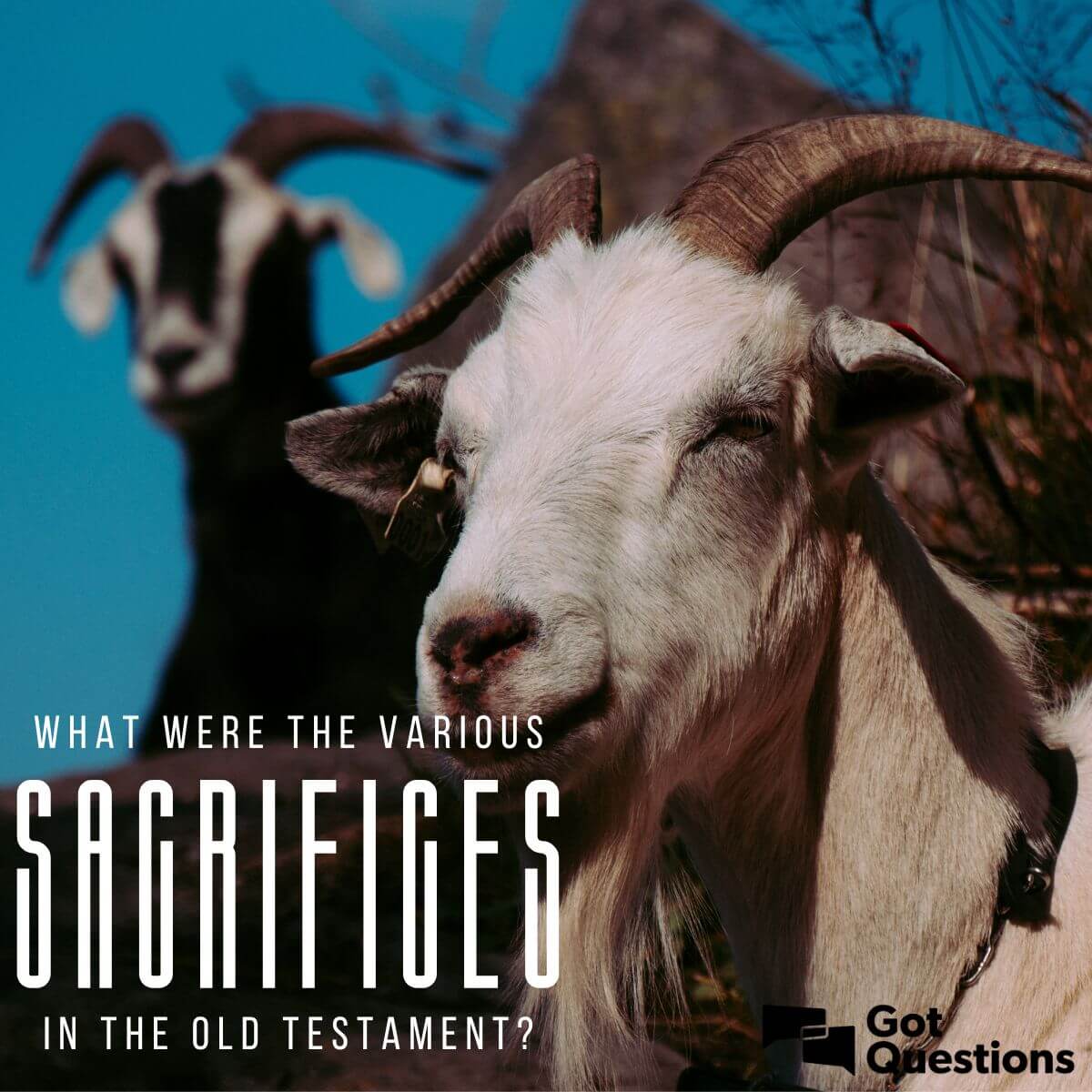 Sacrifices in the Old and New Testament