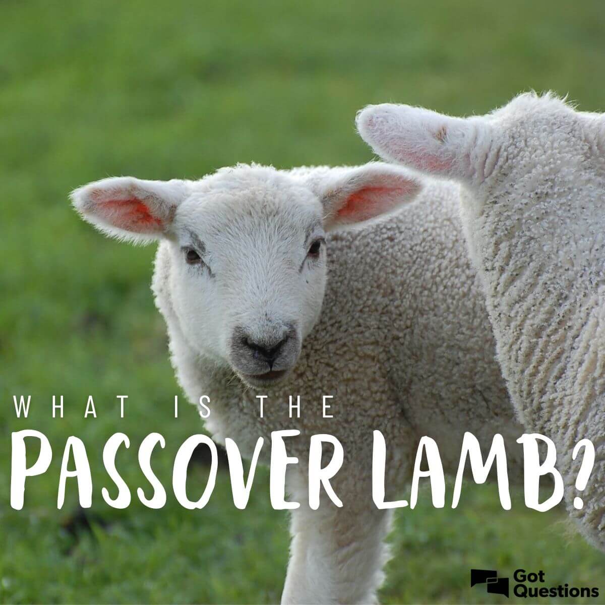 What is the Passover Lamb? How is Jesus our Passover Lamb