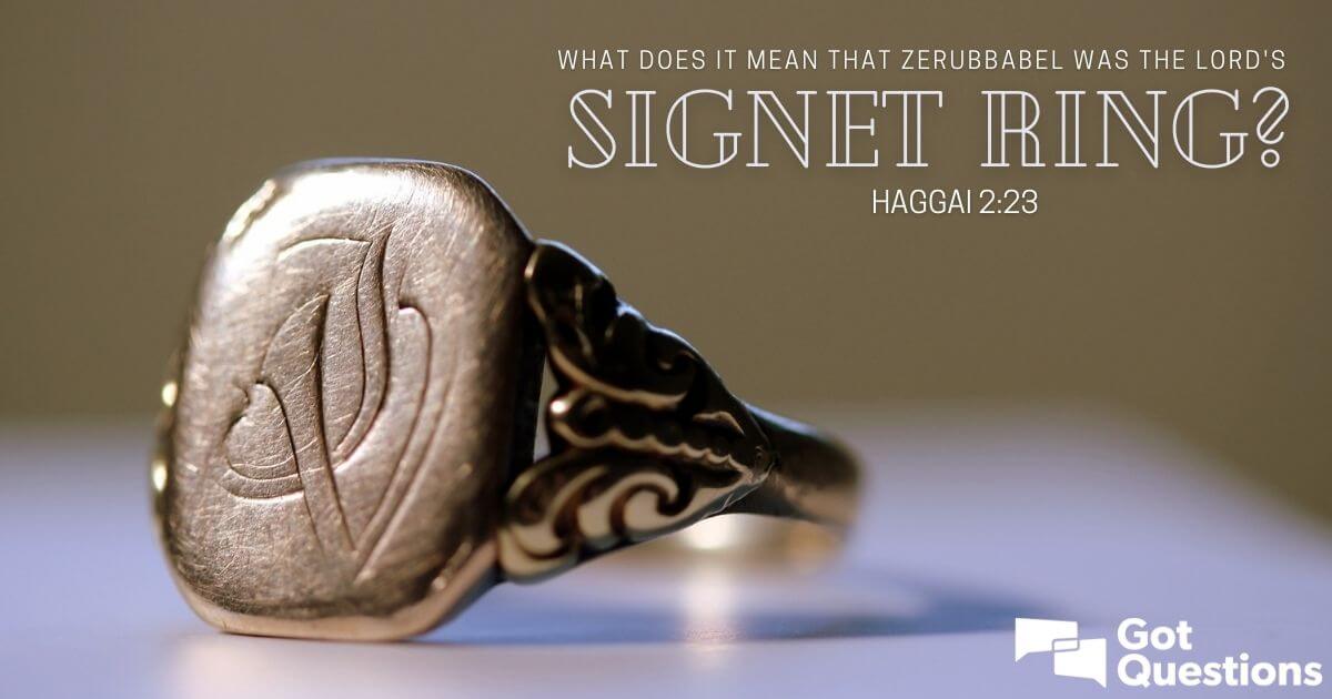 Roaring Lion Signet Ring, 3D Lion Silver Ring for Men , Sterling Silver Lion  King Ring, Lion Symbol Mens Ring , Gift for Him, Animal Ring - Etsy Canada  | Signet ring,