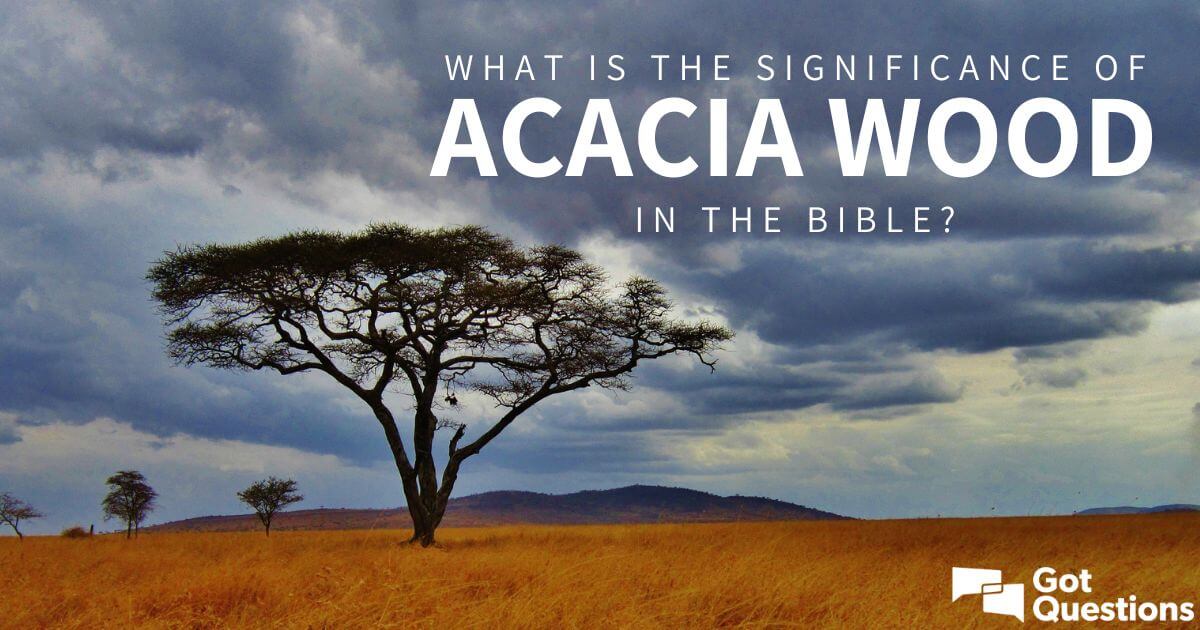 What is Acacia Wood?