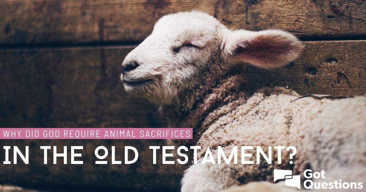 Why Did God Require Animal Sacrifices In The Old Testament 