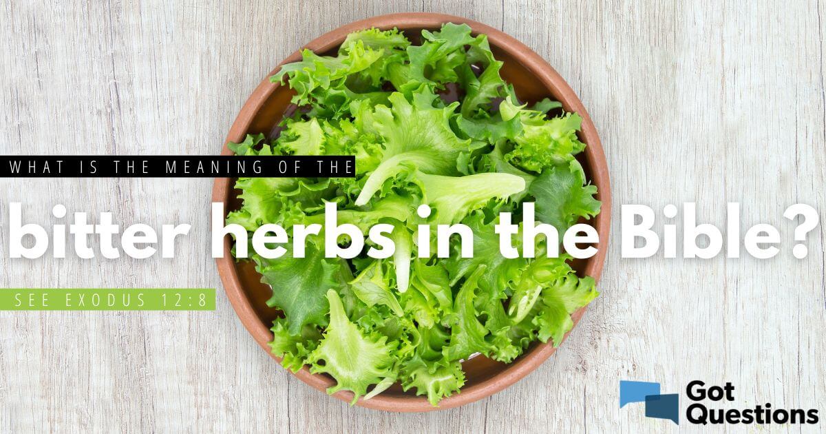 what-is-the-meaning-of-the-bitter-herbs-in-the-bible-see-exodus-12-8