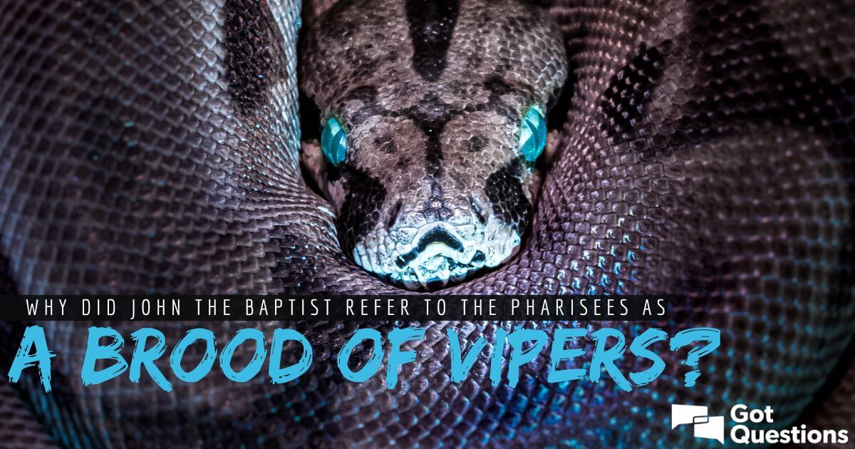 An alphabet of animals. —is the Viper, It lives in the brake ;Can anything  useful Be learned from a snake ?0 yes, we may think How the Saviour  approves,To be wise