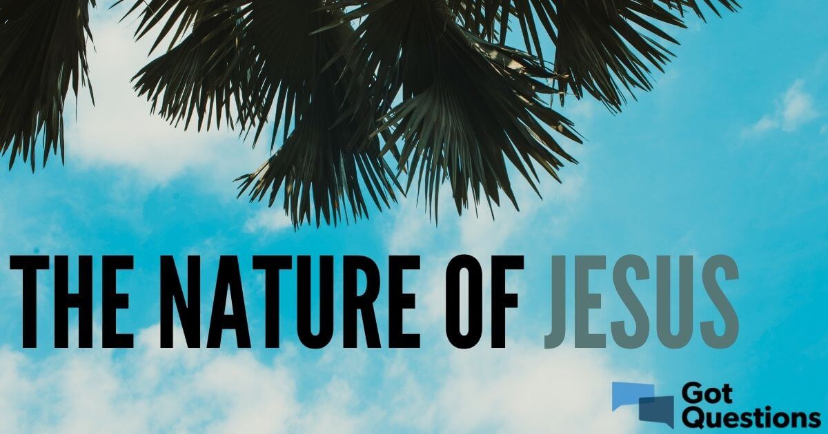 nature of jesus essay