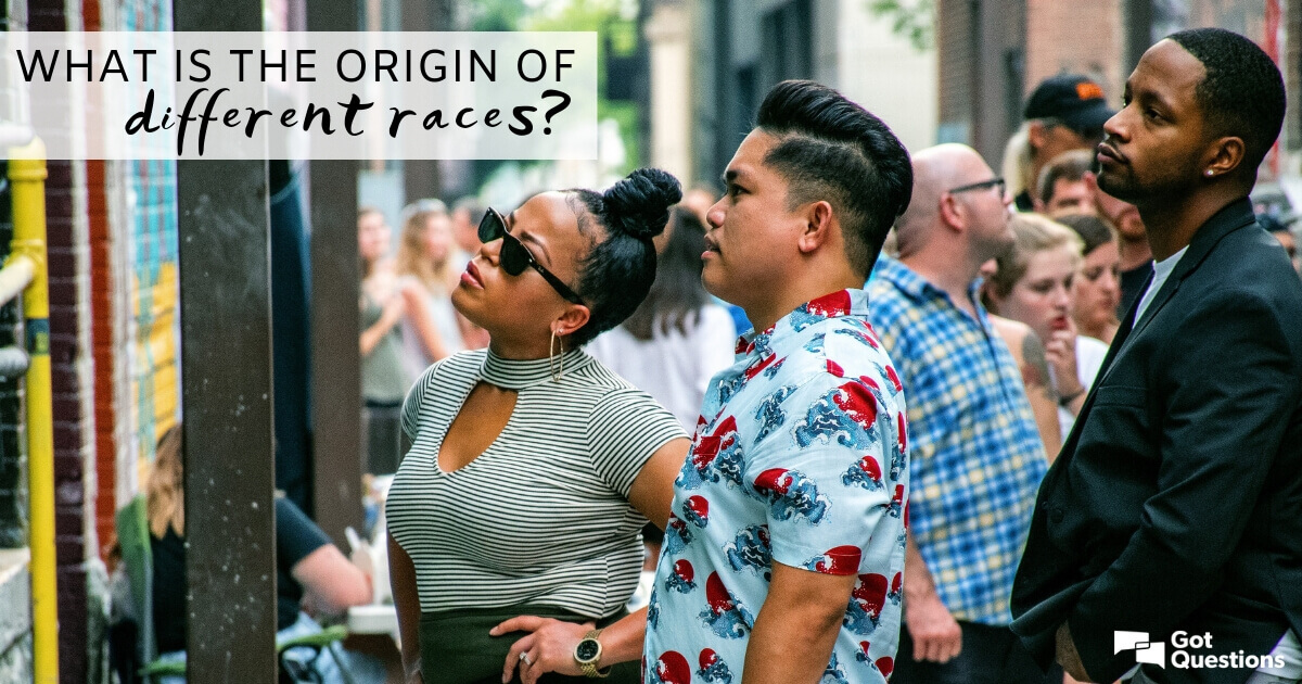 What Is The Origin Of The Different Races GotQuestions