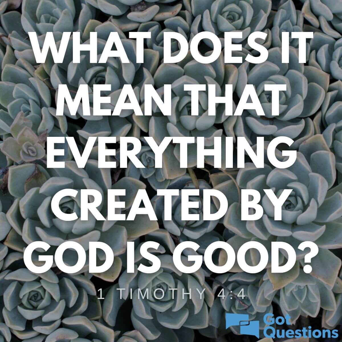 What does it mean that everything created by God is good (1 Timothy 4:4 ...