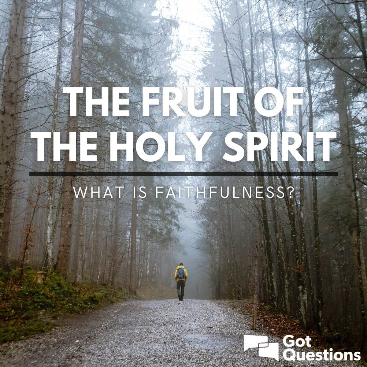 gift of the holy spirit faithfulness