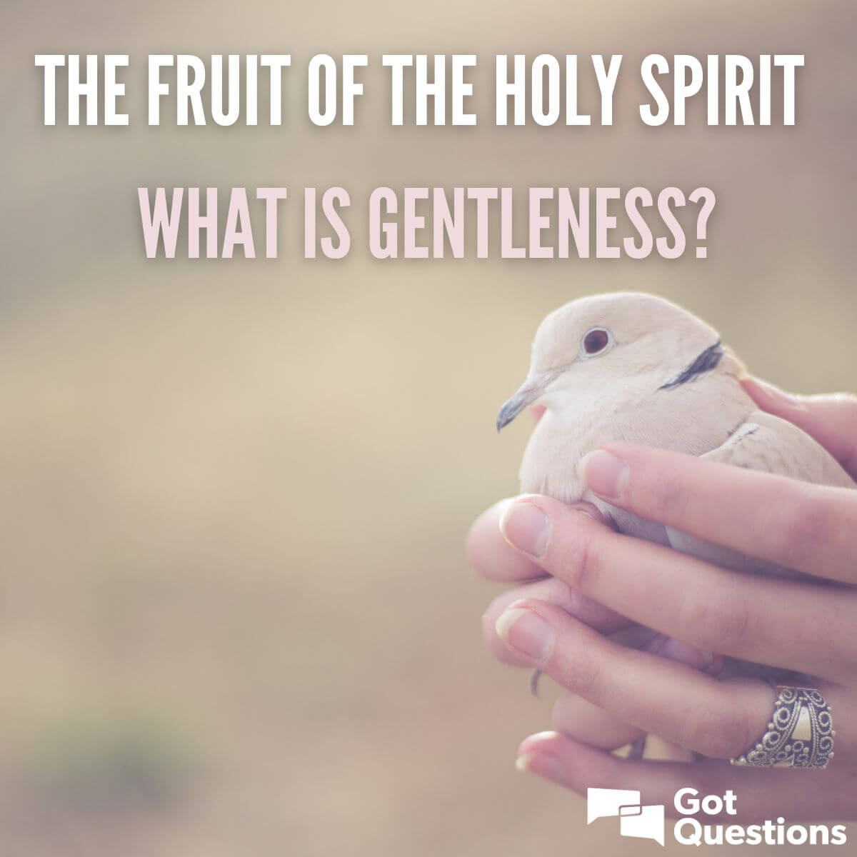 The Fruit Of The Holy Spirit What Is Gentleness GotQuestions