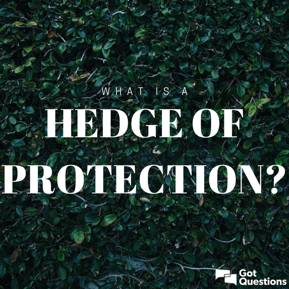 what-is-a-hedge-of-protection-gotquestions