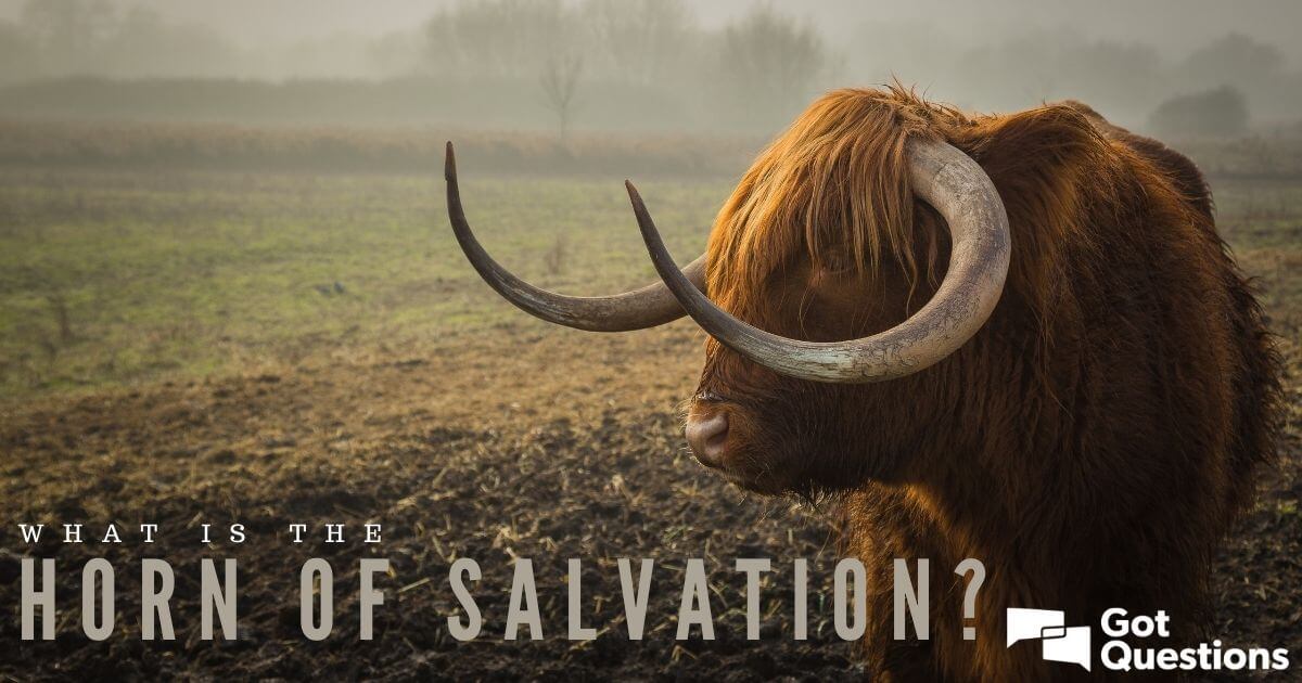 What Does The Horn Of My Salvation Mean