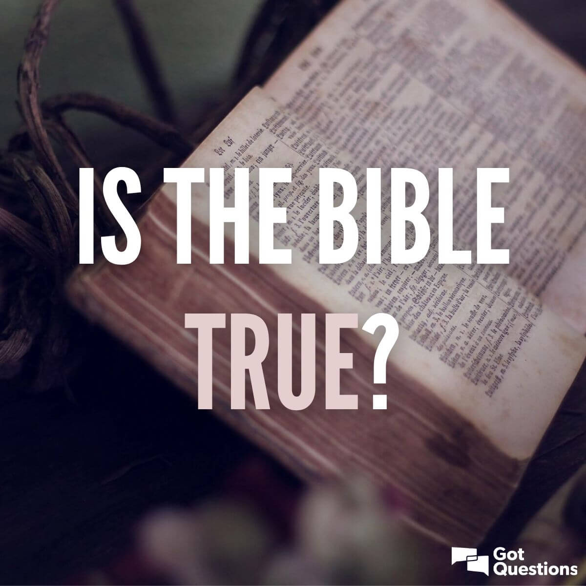 Is The Bible True GotQuestions