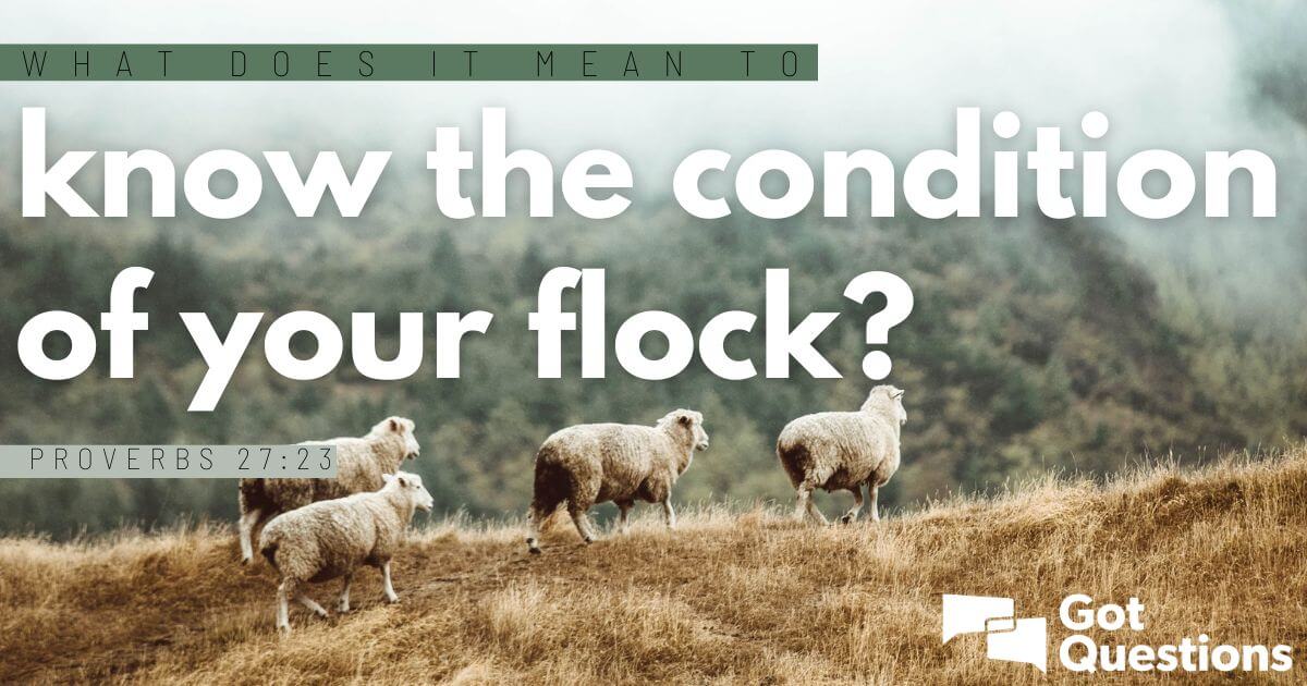 what-does-it-mean-to-know-the-condition-of-your-flock-proverbs-27-23