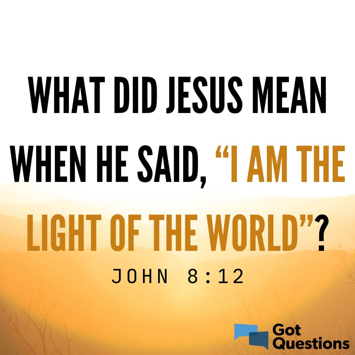 What Did Jesus Mean When He Said I Am The Light Of The World John 8 