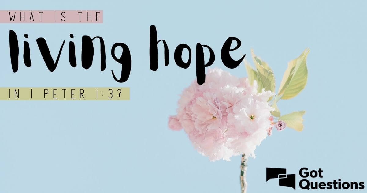 What is the living hope in 1 Peter 1:3? | GotQuestions.org