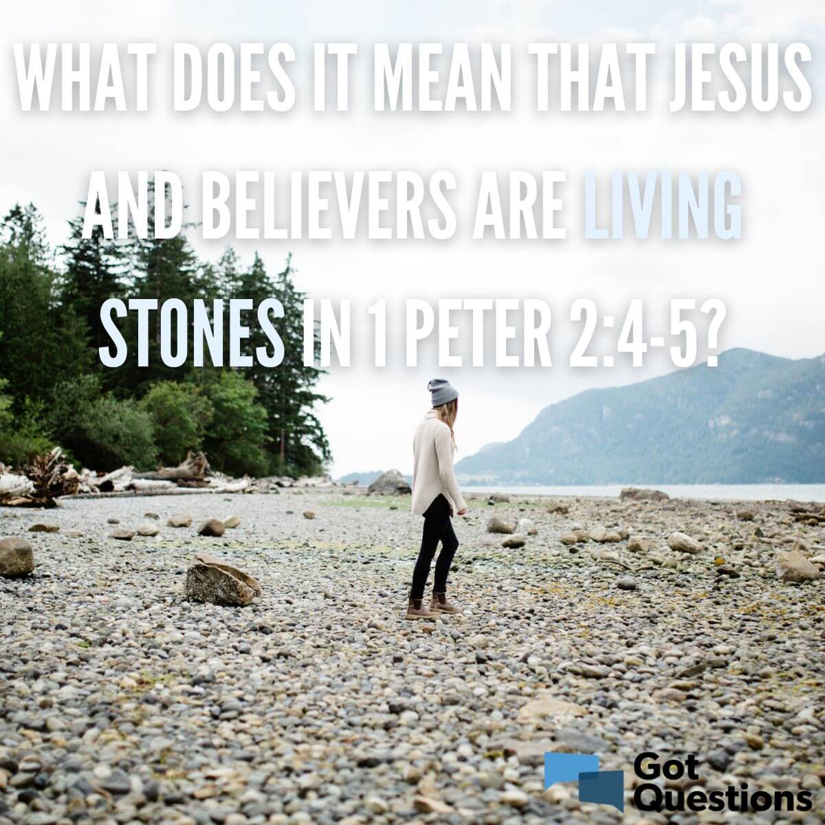 What Does It Mean That Jesus And Believers Are Living Stones In 1 Peter 