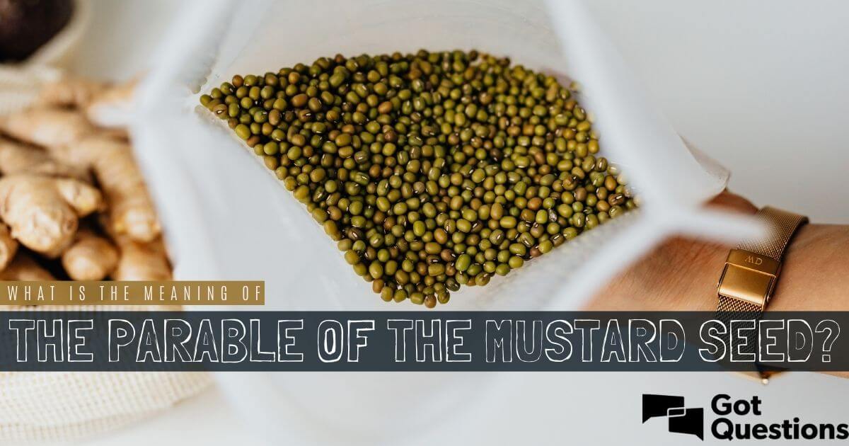  What Is The Meaning Of The Parable Of The Mustard Seed GotQuestions