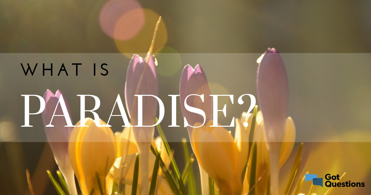What is paradise?