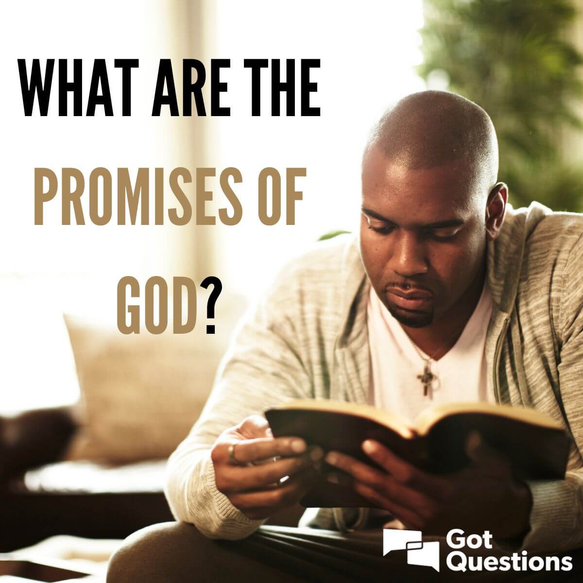 What Are The Promises Of God GotQuestions