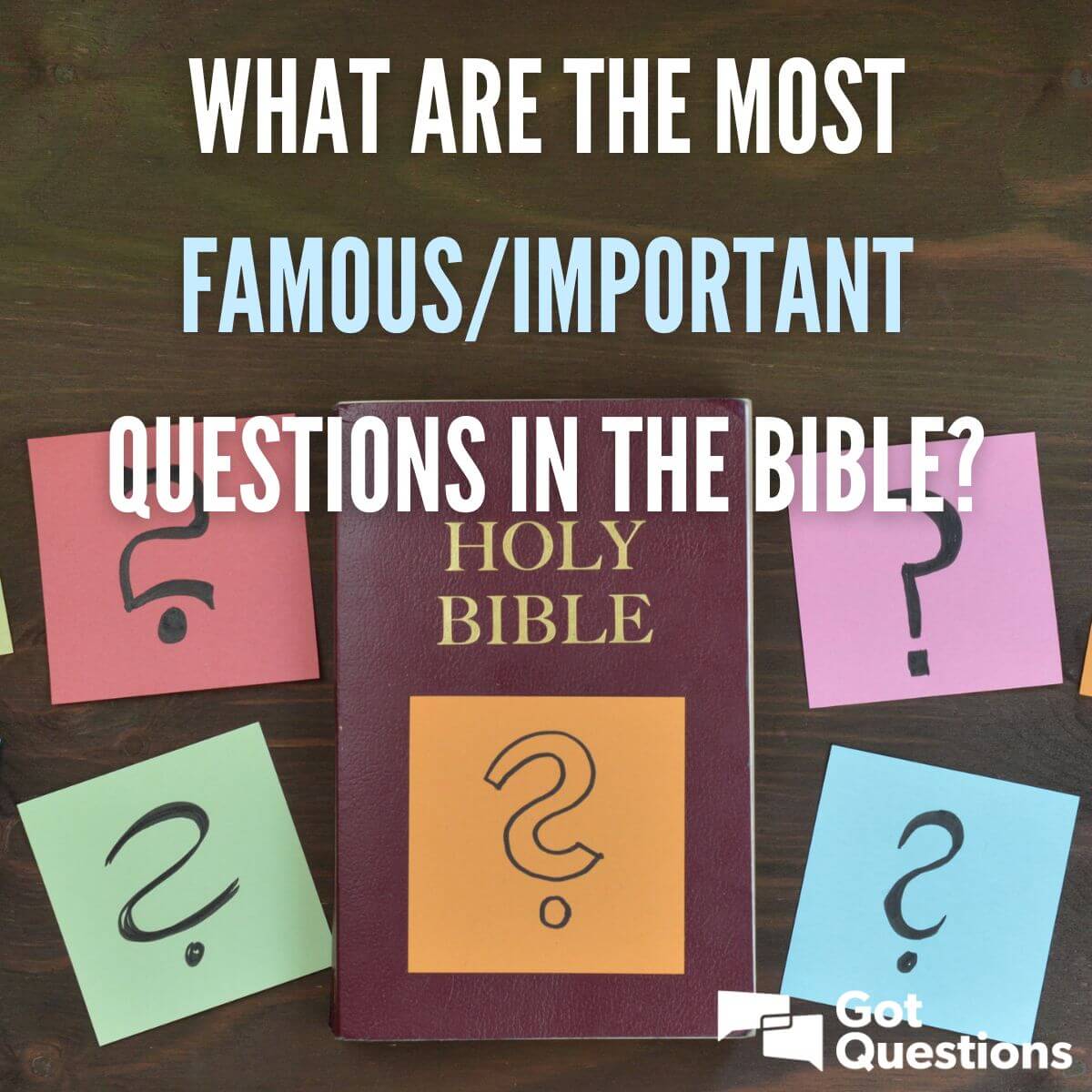 What are the most famous/important questions in the Bible