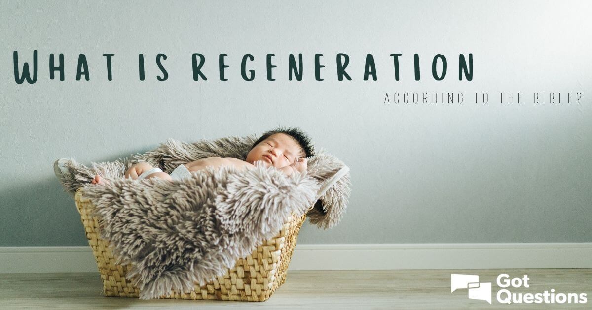 What Is Regeneration According To The Bible GotQuestions