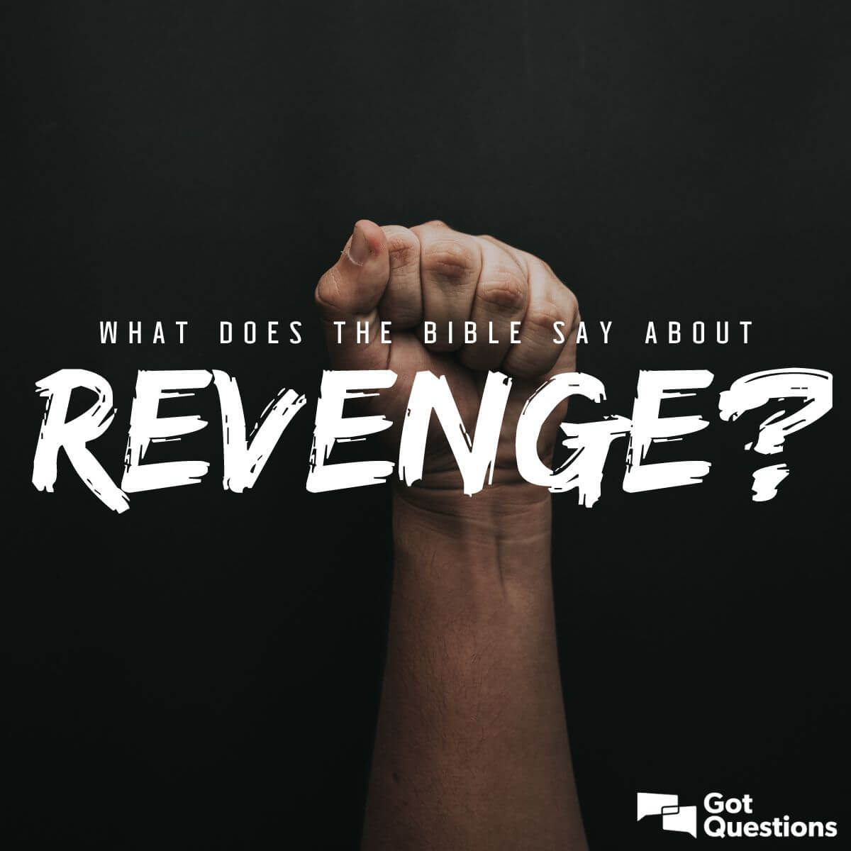 What Does The Bible Say About Revenge GotQuestions