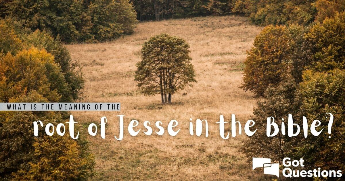 What Is The Meaning Of The Root Of Jesse In The Bible GotQuestions