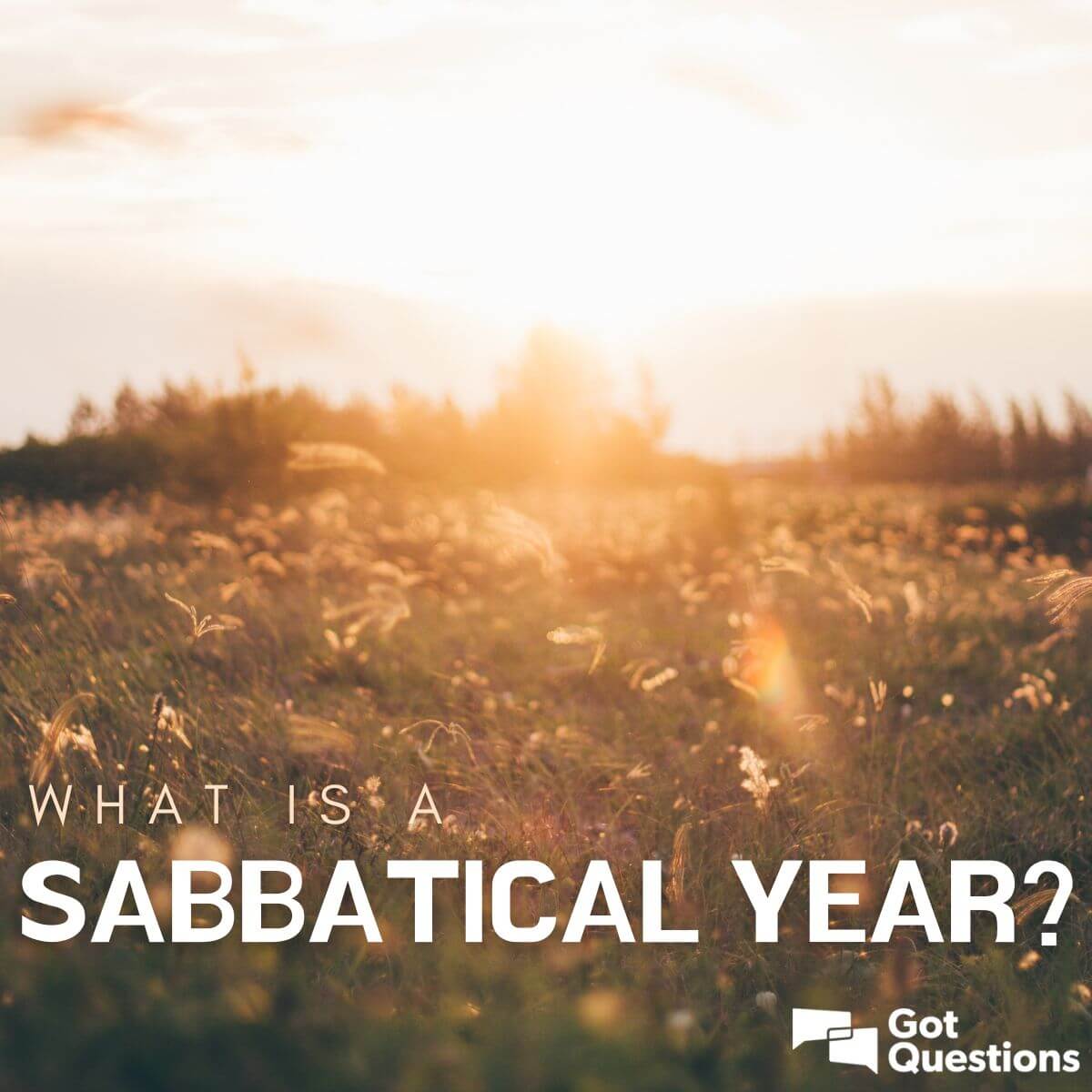 What Is A Sabbatical Year GotQuestions