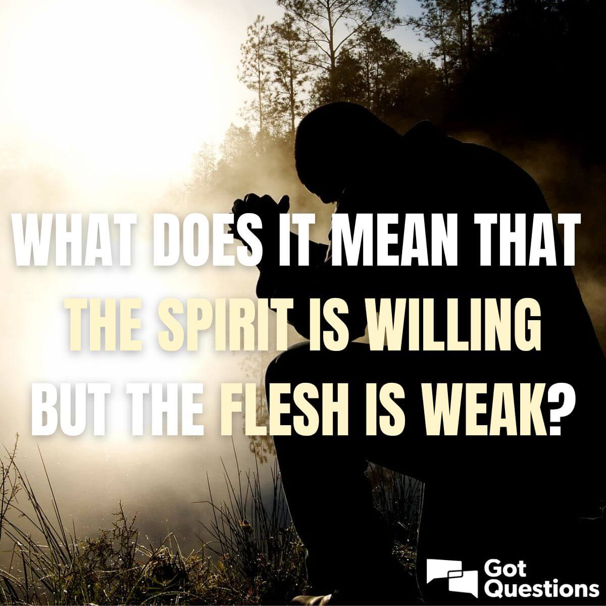 what-does-it-mean-that-the-spirit-is-willing-but-the-flesh-is-weak