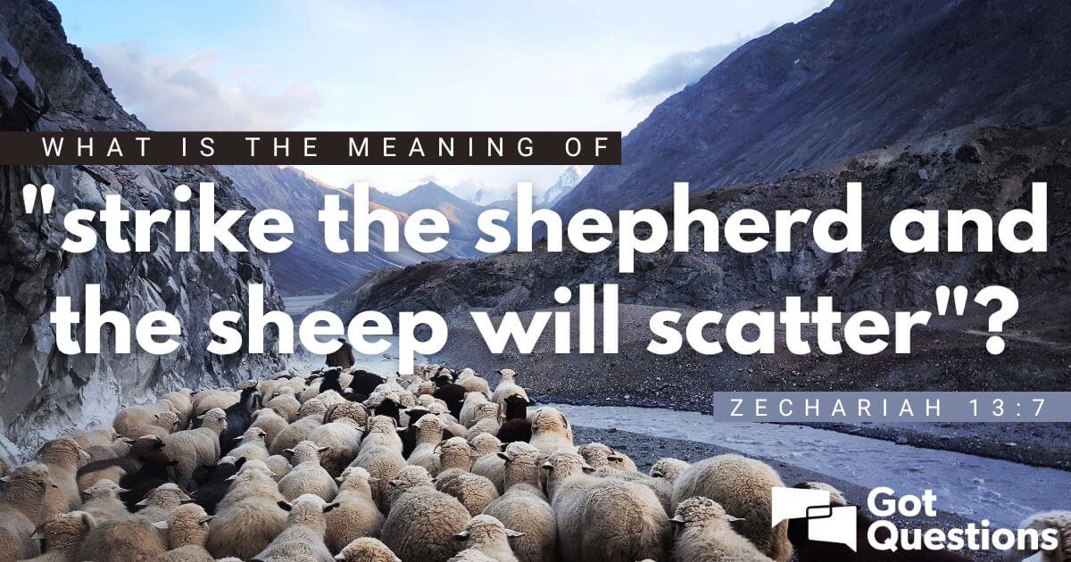 what-is-the-meaning-of-strike-the-shepherd-and-the-sheep-will-scatter