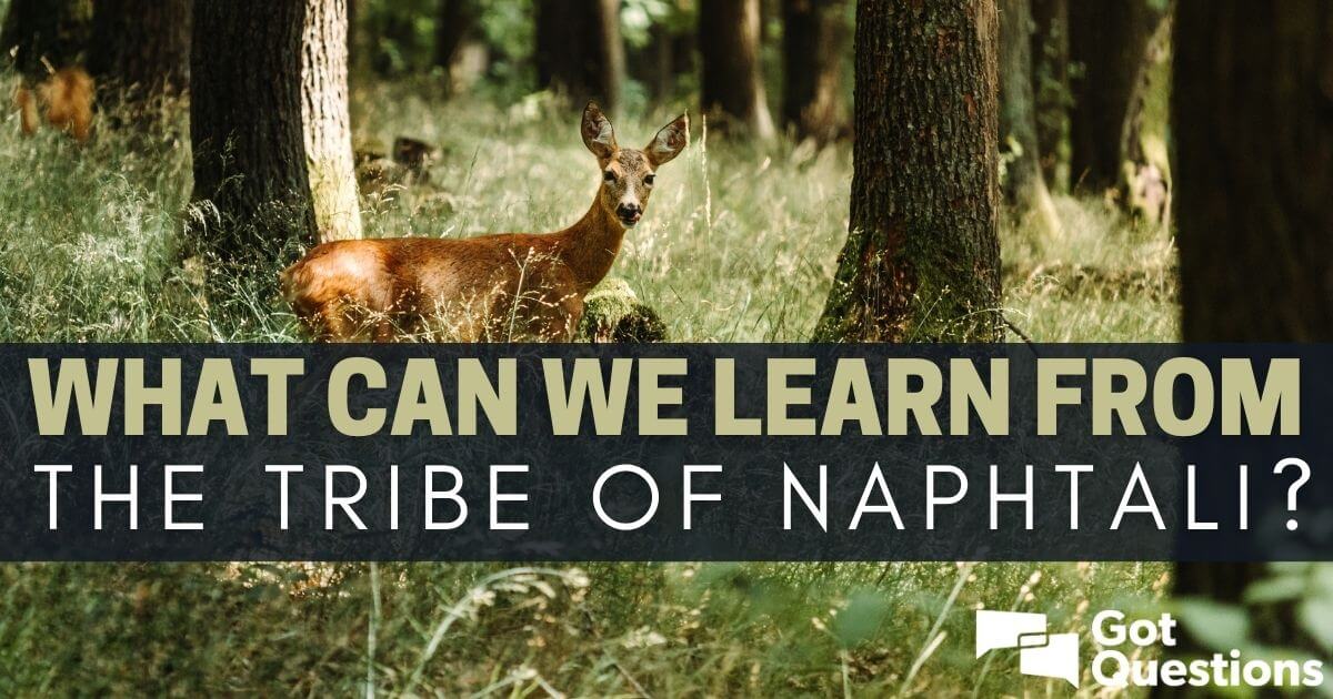 what-can-we-learn-from-the-tribe-of-naphtali-gotquestions