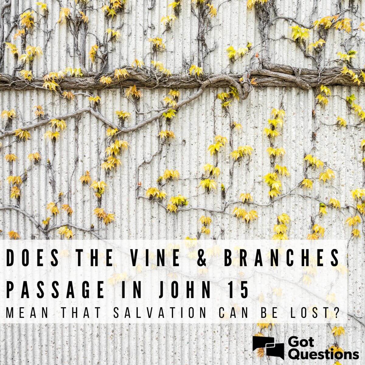 John 15:5 Theme Verse Printable Package, I Am The Vine, You, 59% OFF