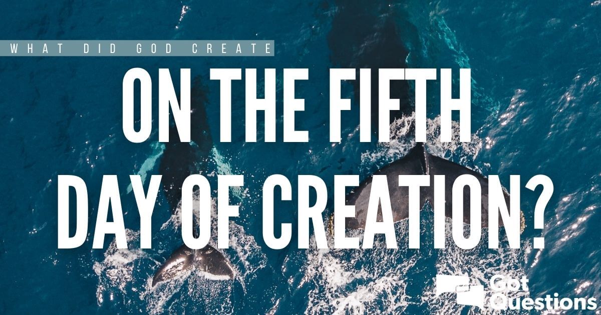 What Did God Create On The Fifth Day Of Creation GotQuestions