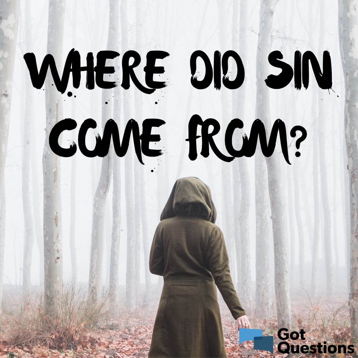 where-did-sin-come-from-gotquestions