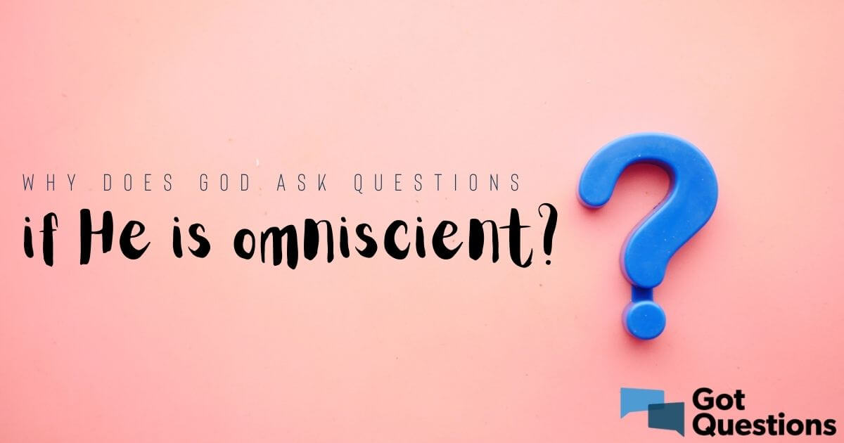 why-does-god-ask-questions-if-he-is-omniscient-gotquestions