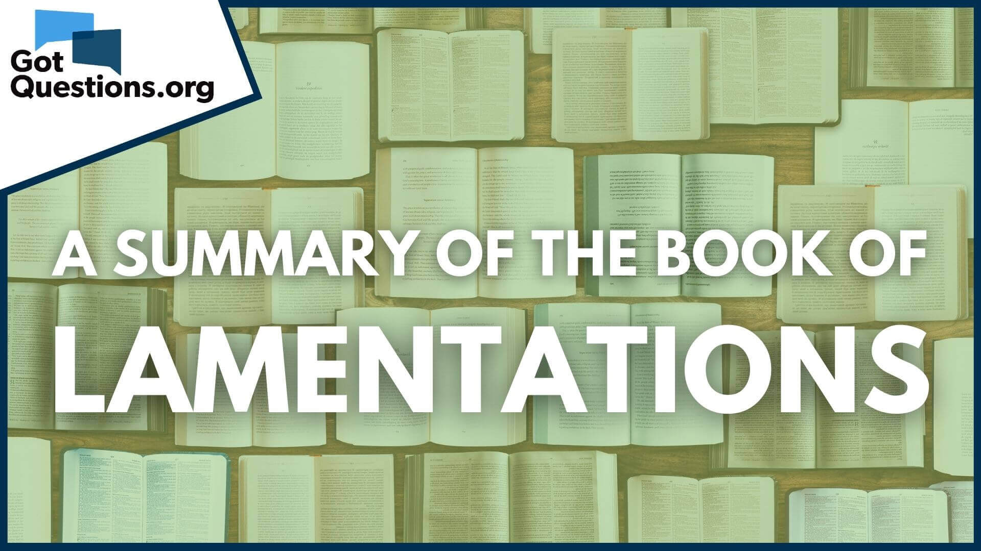 Can you summarize the Book of Lamentations?