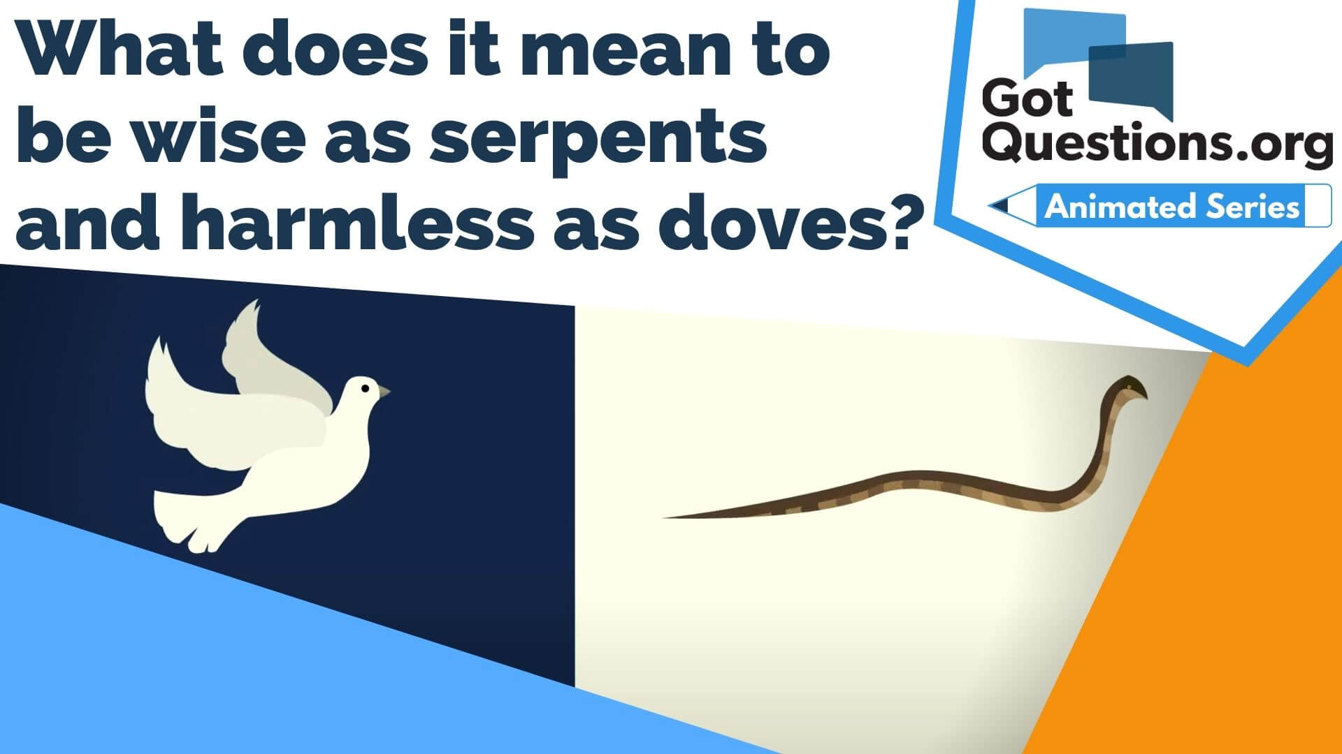 What Does It Mean To Be Wise As Serpents And Harmless As Doves Matthew 10 16 Gotquestions Org